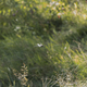 Image for article titled Summer Shooting Challenge Gallery 1